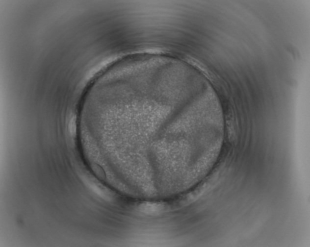 X0000113570350200910161523