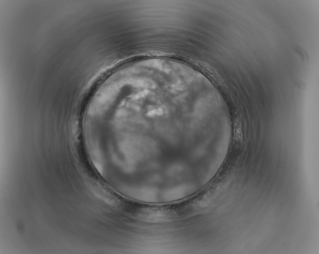 X0000113570351200910161523