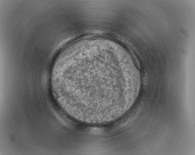 X0000113570352200910161523