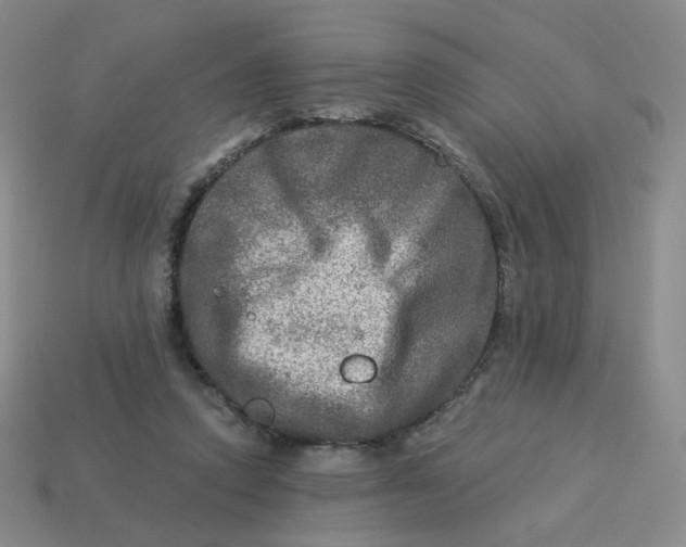 X0000113570354200910161523