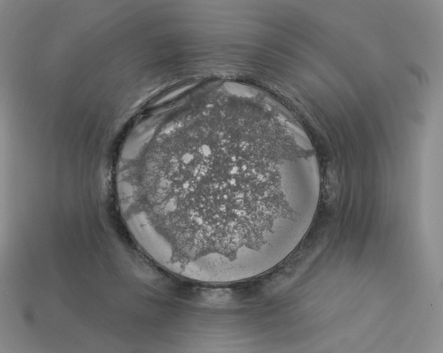 X0000113570355200910161523