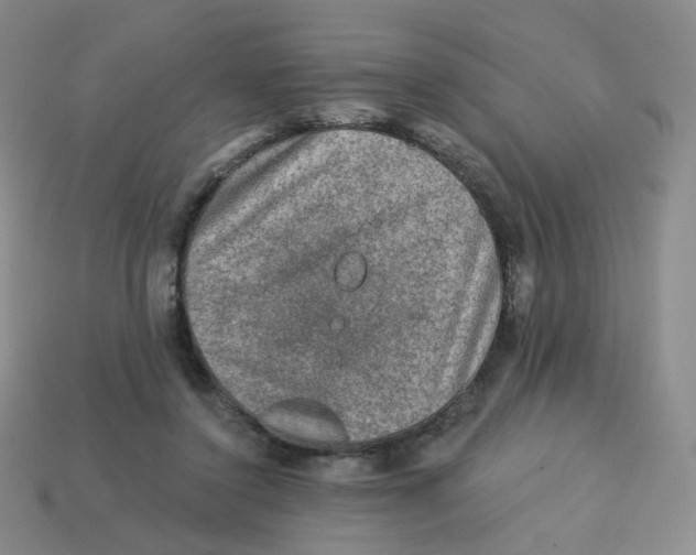 X0000113570356200910161523