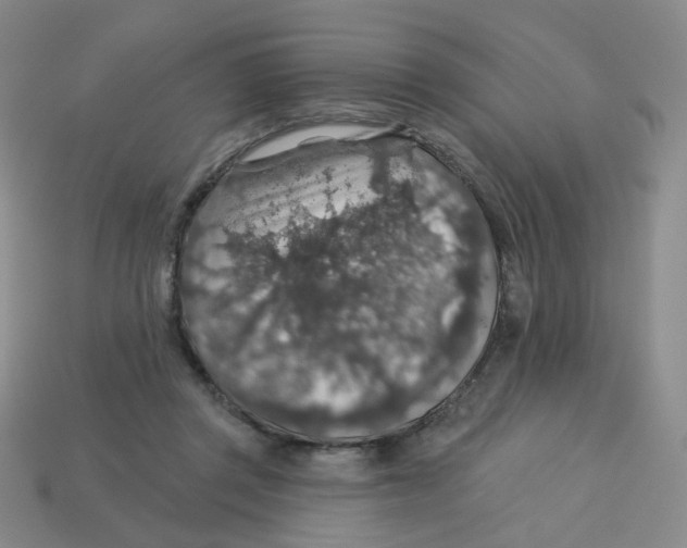 X0000113570357200910161523