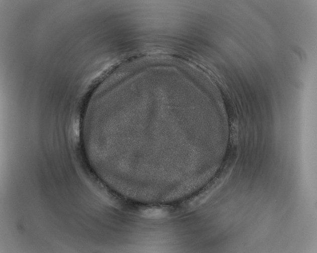 X0000113570358200910161523