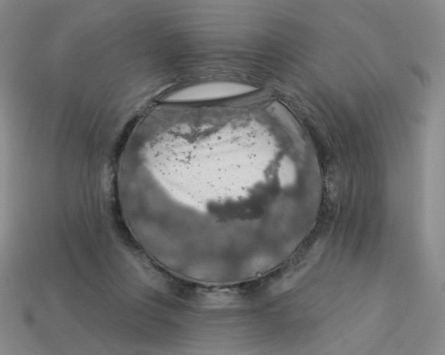 X0000113570359200910161523