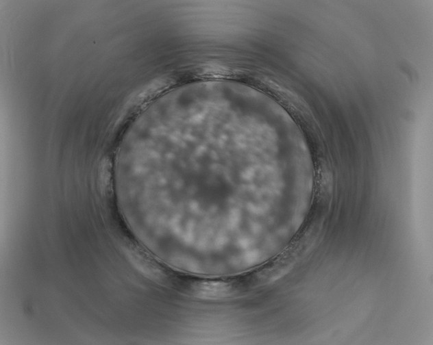 X0000113570361200910161523