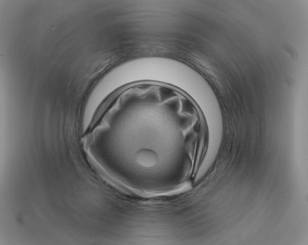 X0000113570362200910161523