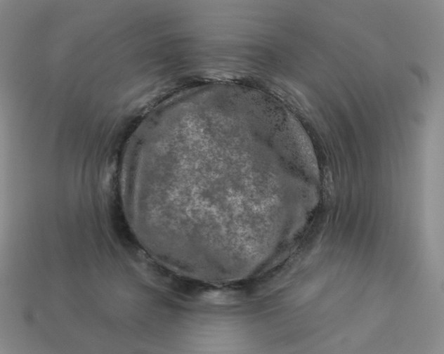 X0000113570364200910161523