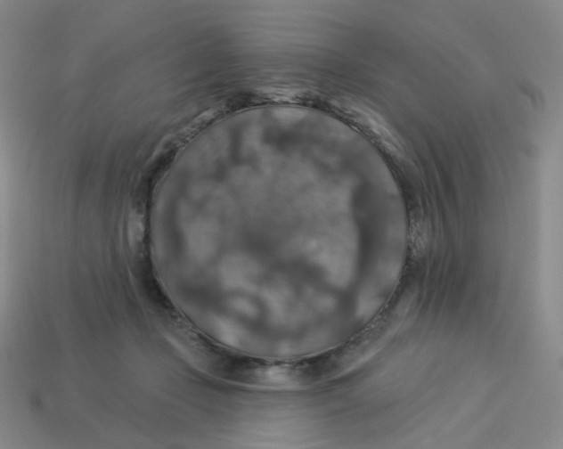 X0000113570365200910161523