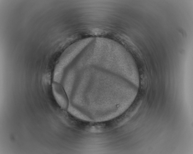 X0000113570368200910161523