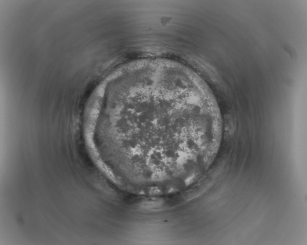 X0000113570369200910161523