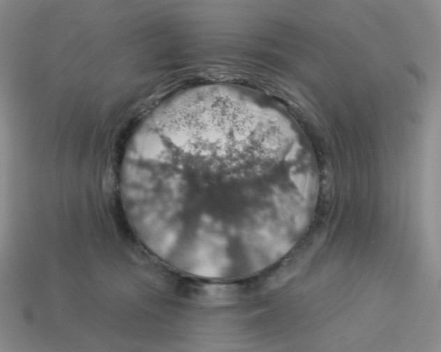 X0000113570371200910161523