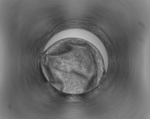 X0000113570372200910161523