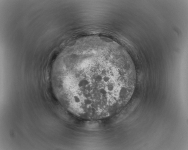 X0000113570373200910161523