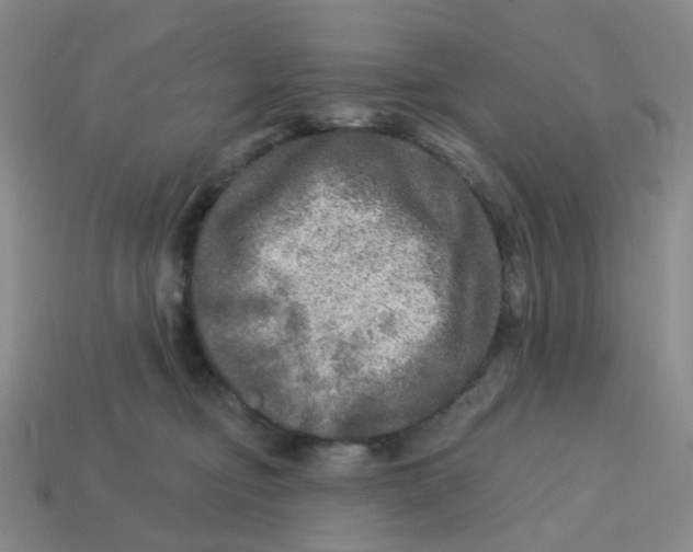 X0000113570374200910161523