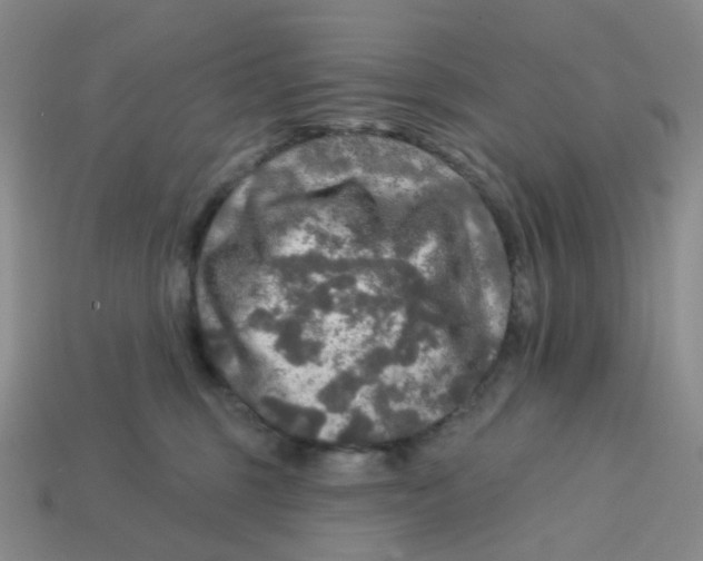 X0000113570375200910161523