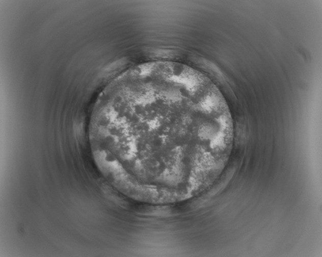 X0000113570377200910161523