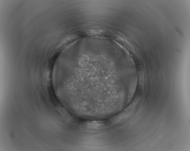 X0000113570378200910161523