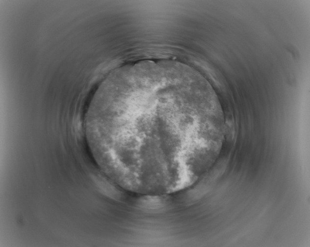 X0000113570381200910161523