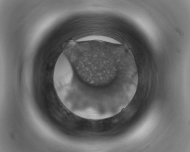 X0000113570383200910161523