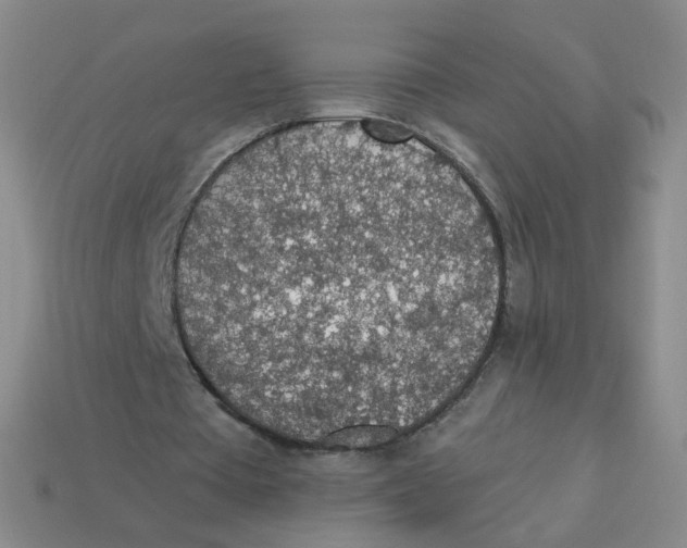 X0000113570385200910161522