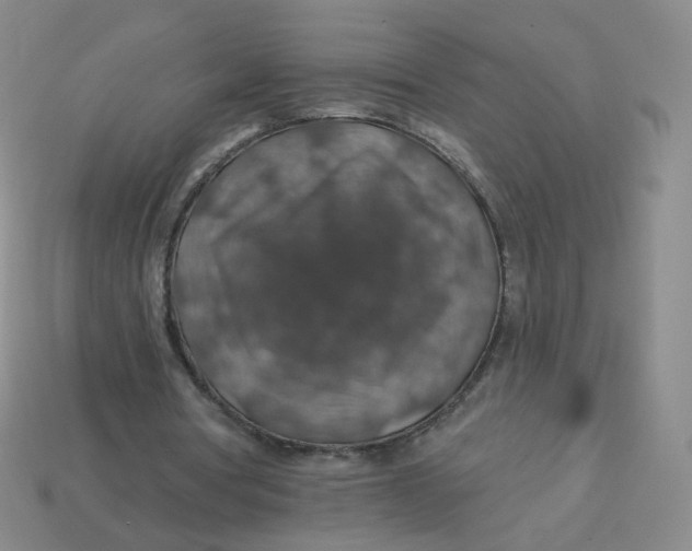 X0000113570386200910161522