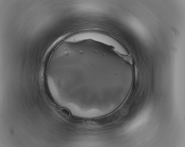 X0000113570387200910161522