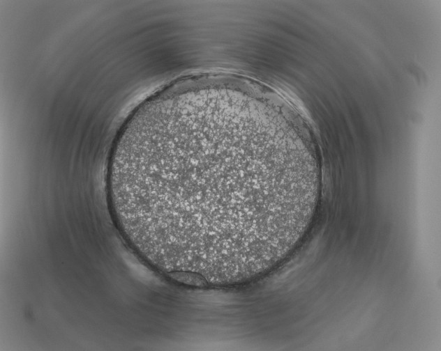 X0000113570389200910161522