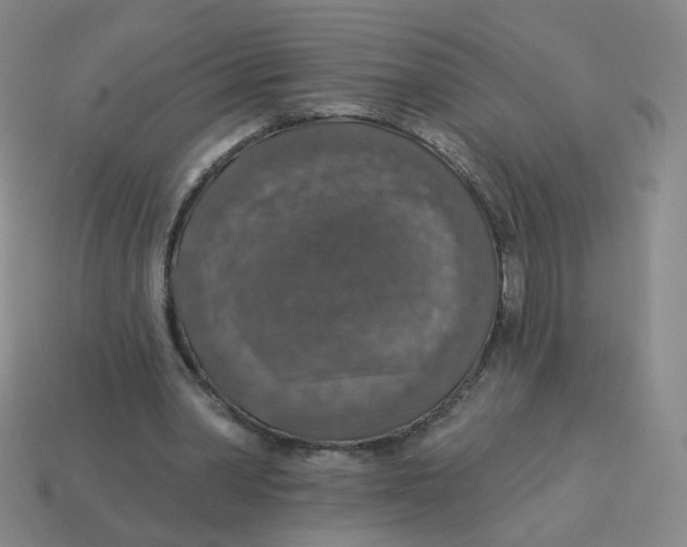 X0000113570390200910161522