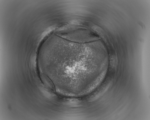 X0000113570395200910161522