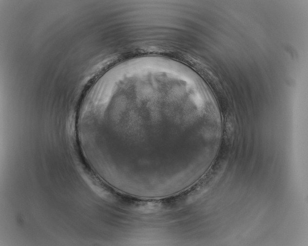 X0000113570398200910161522