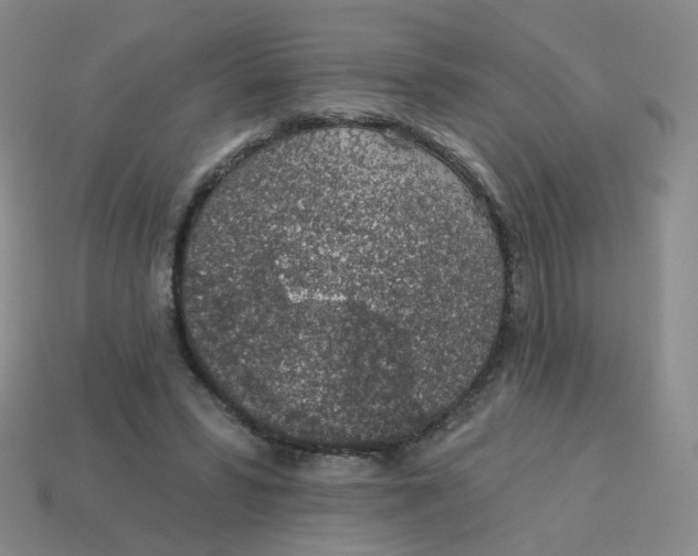 X0000113570399200910161522