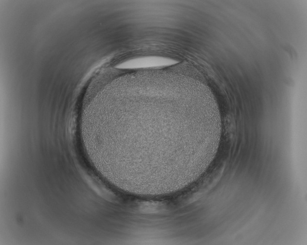 X0000113570400200910161522