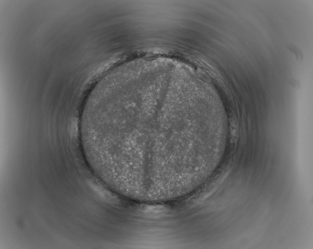 X0000113570401200910161522