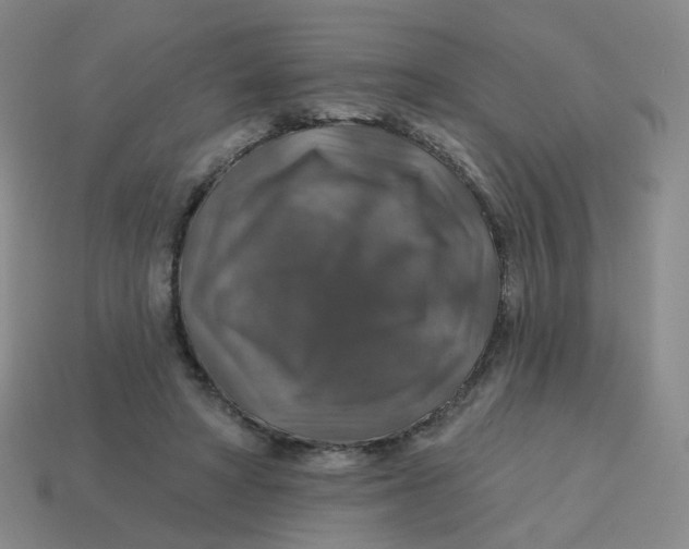 X0000113570402200910161522