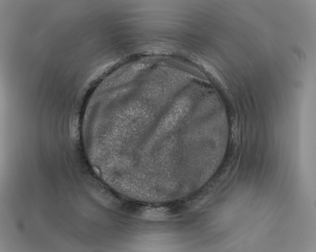 X0000113570403200910161522