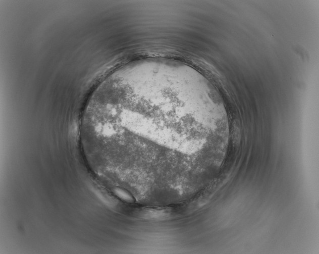 X0000113570405200910161522