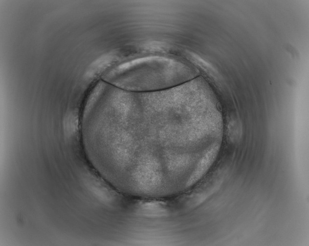 X0000113570407200910161522