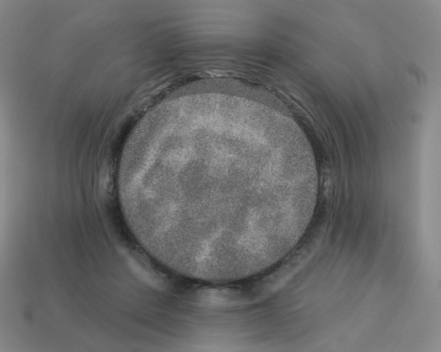 X0000113570408200910161522