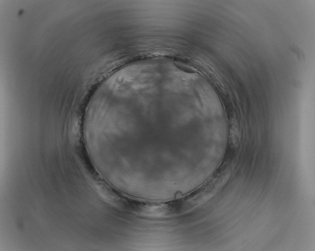 X0000113570410200910161522