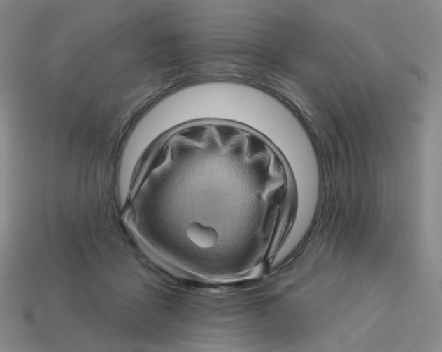 X0000113570411200910161522