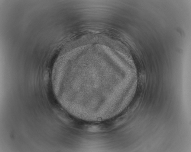 X0000113570412200910161522