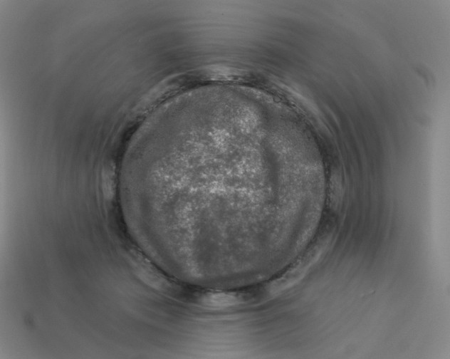 X0000113570413200910161522