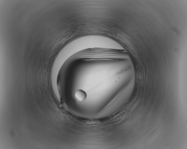 X0000113570415200910161522