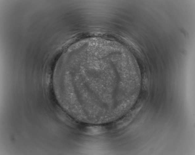 X0000113570417200910161522