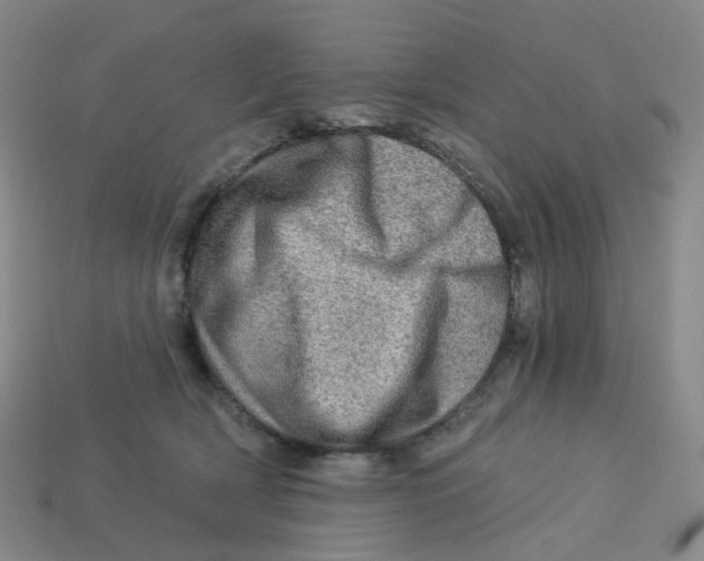 X0000113570418200910161522