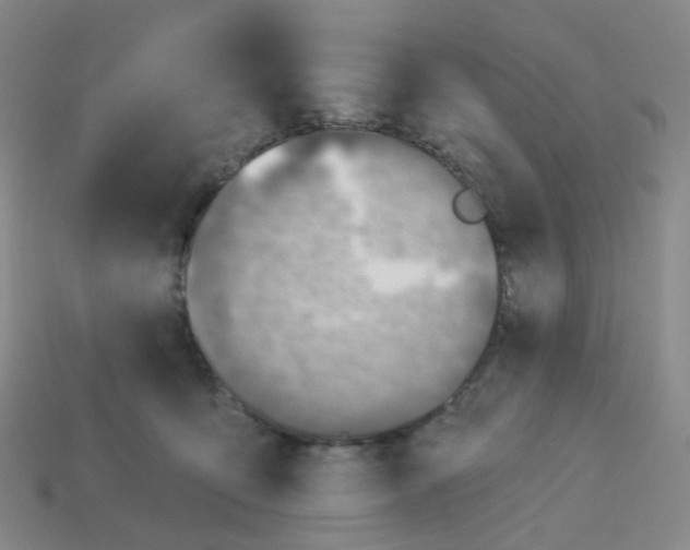 X0000113570419200910161522