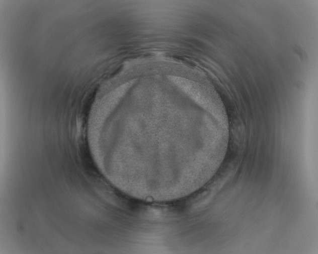 X0000113570420200910161522