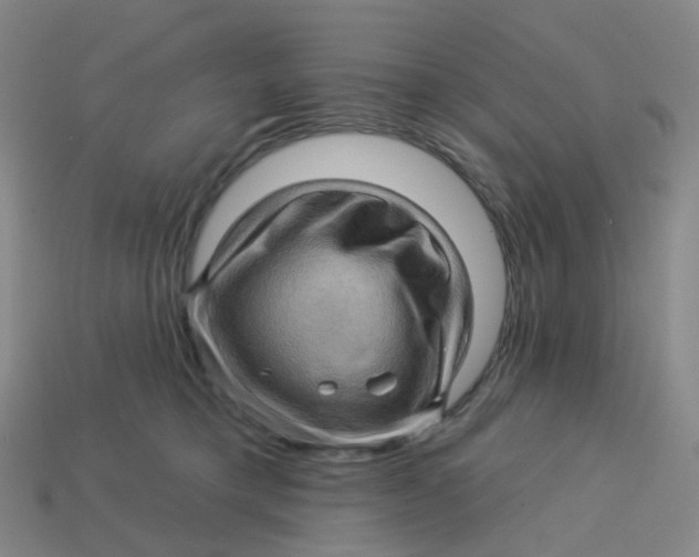 X0000113570421200910161522