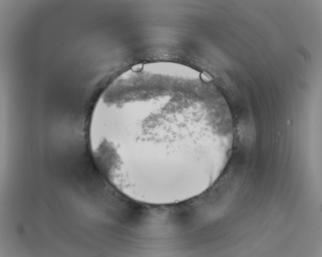 X0000113570423200910161522